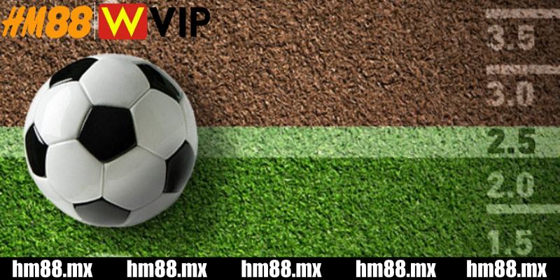 Kinh nghiệm và chiến lược thắng lớn với kèo tài xỉu bóng đá